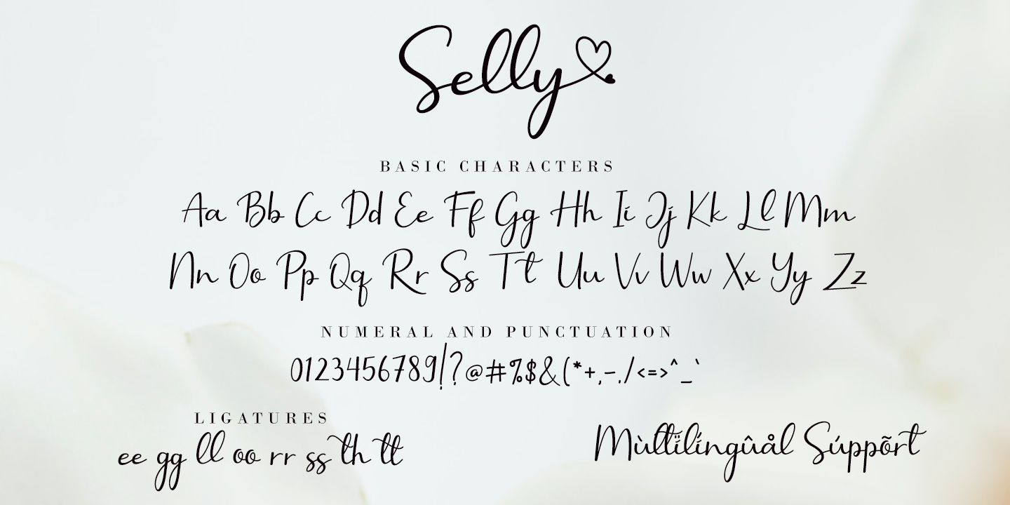 Ejemplo de fuente Selly Calligraphy #4